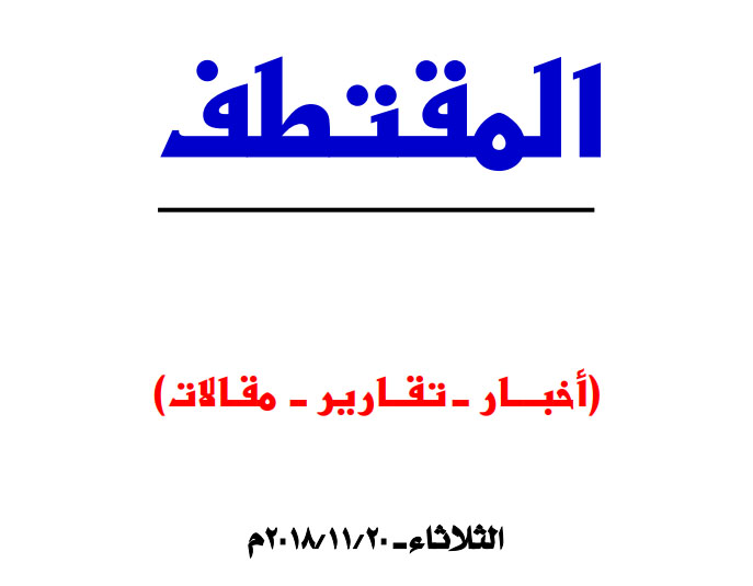 النسخة المصغرة