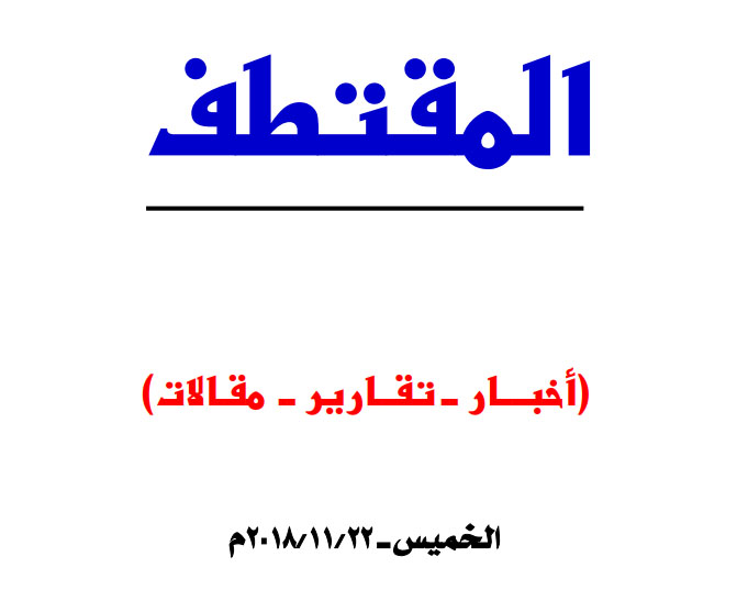 النسخة المصغرة