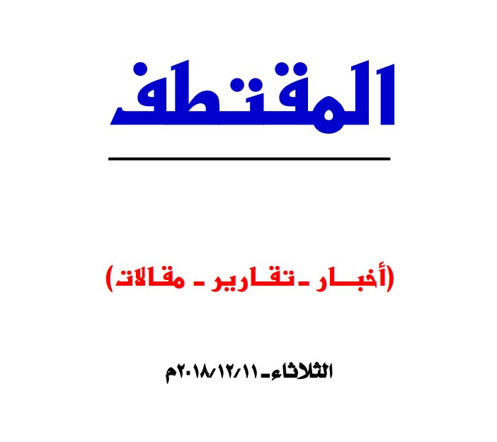 النسخة المصغرة