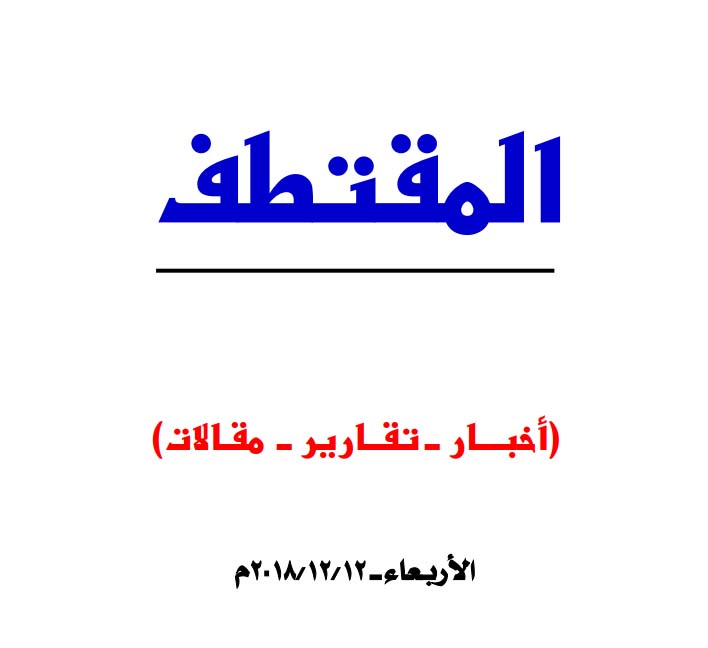 النسخة المصغرة
