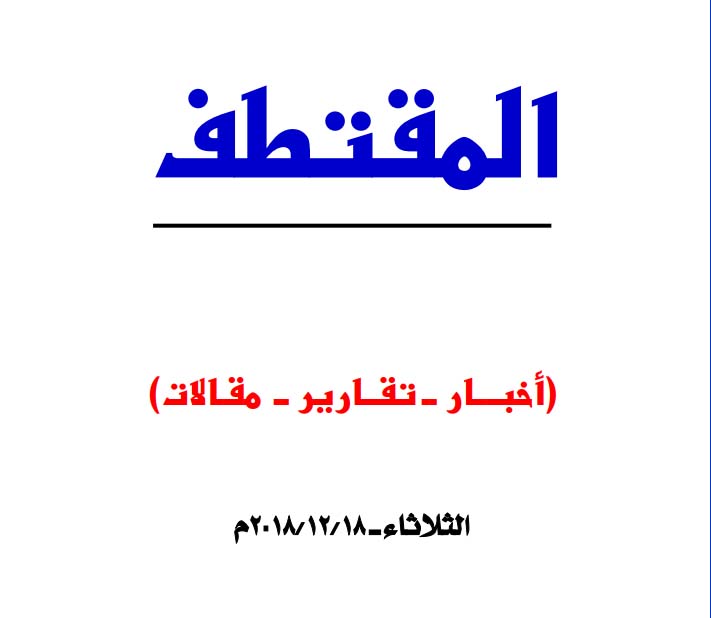 النسخة المصغرة