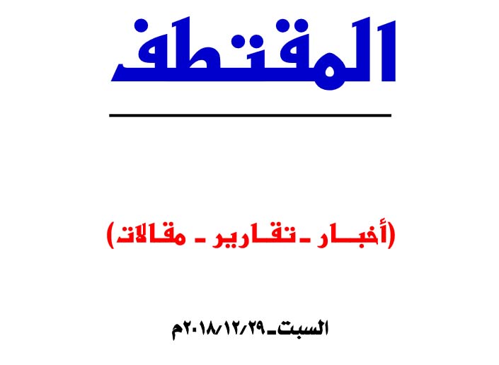 النسخة المصغرة