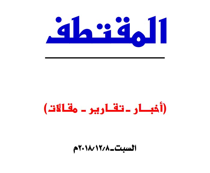 النسخة المصغرة