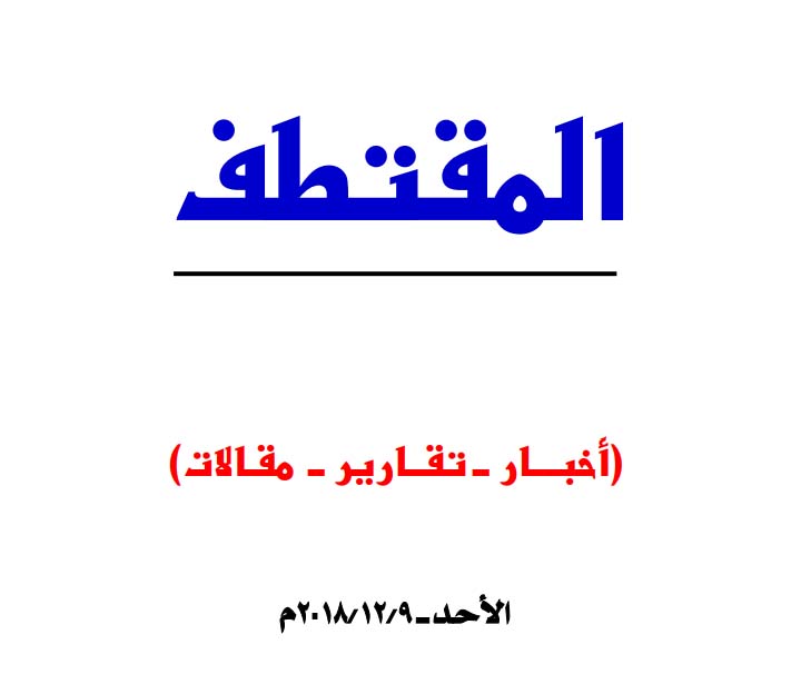 النسخة المصغرة