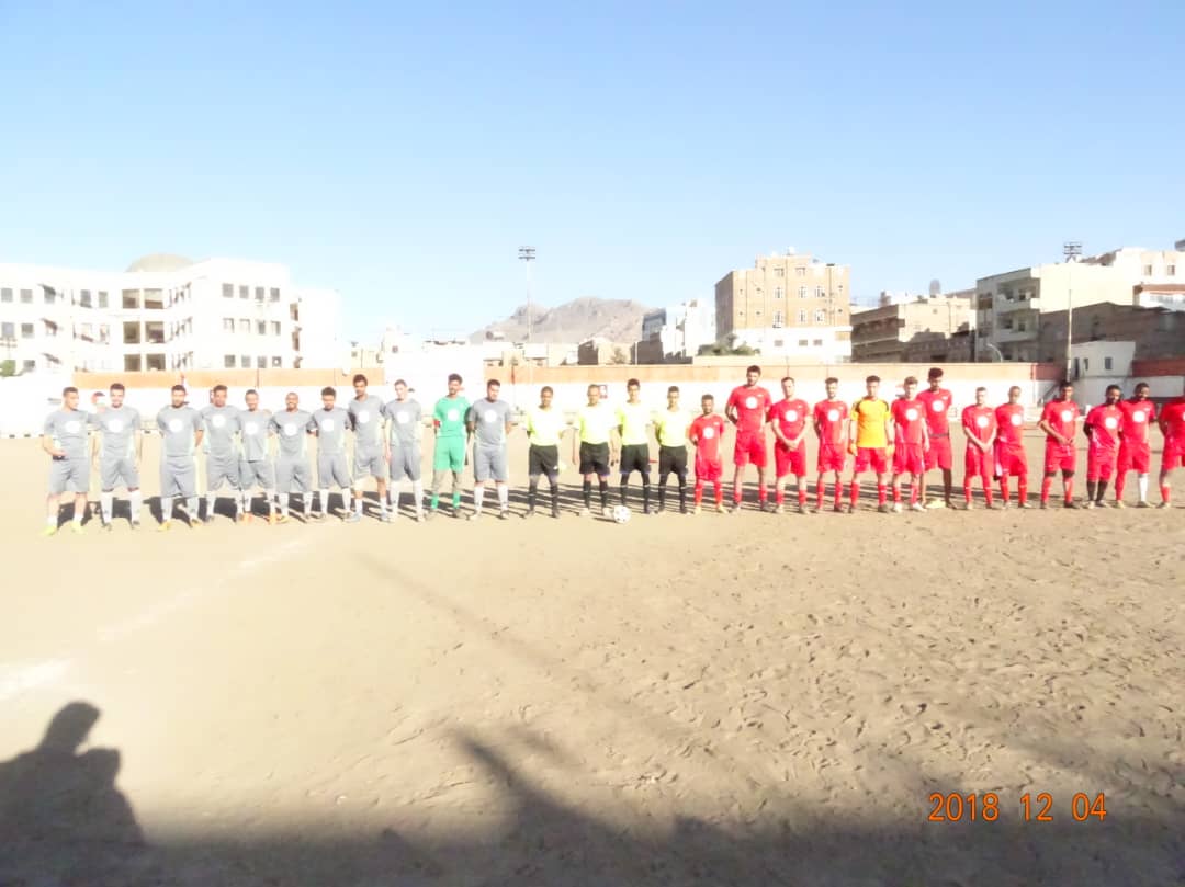 النسخة المصغرة
