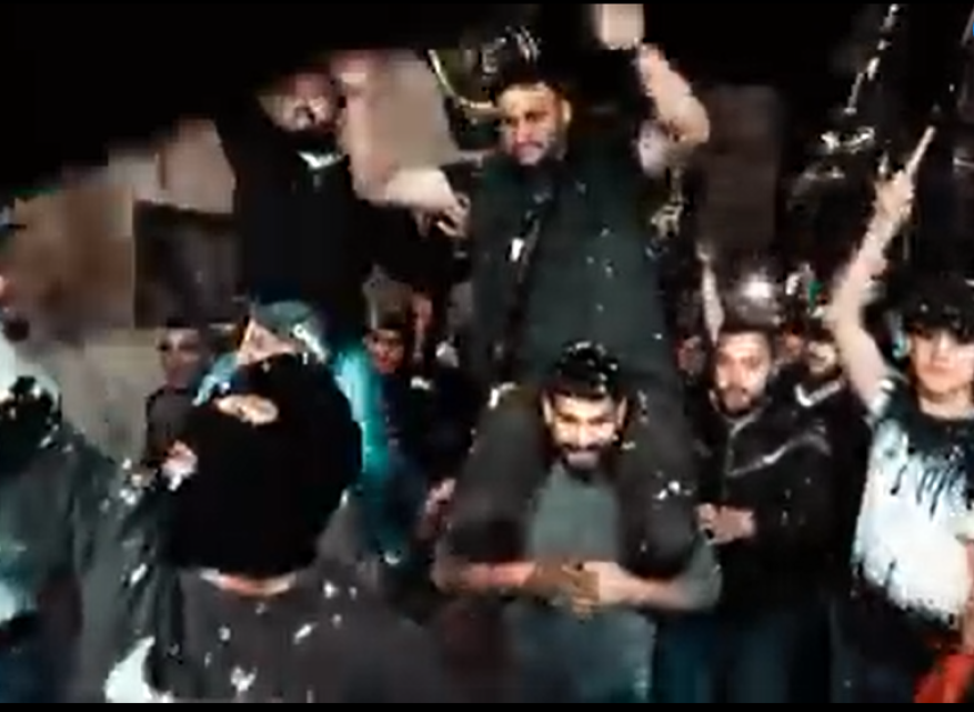 . النسخة المصغرة