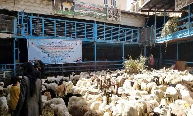 . النسخة المصغرة