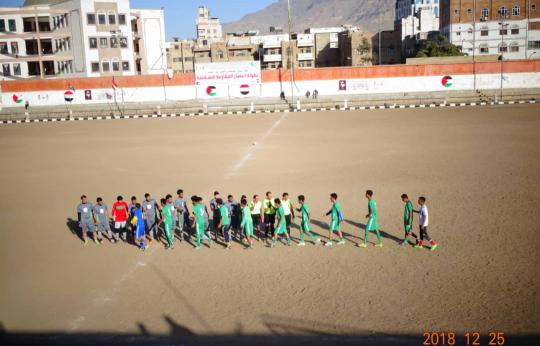 النسخة المصغرة